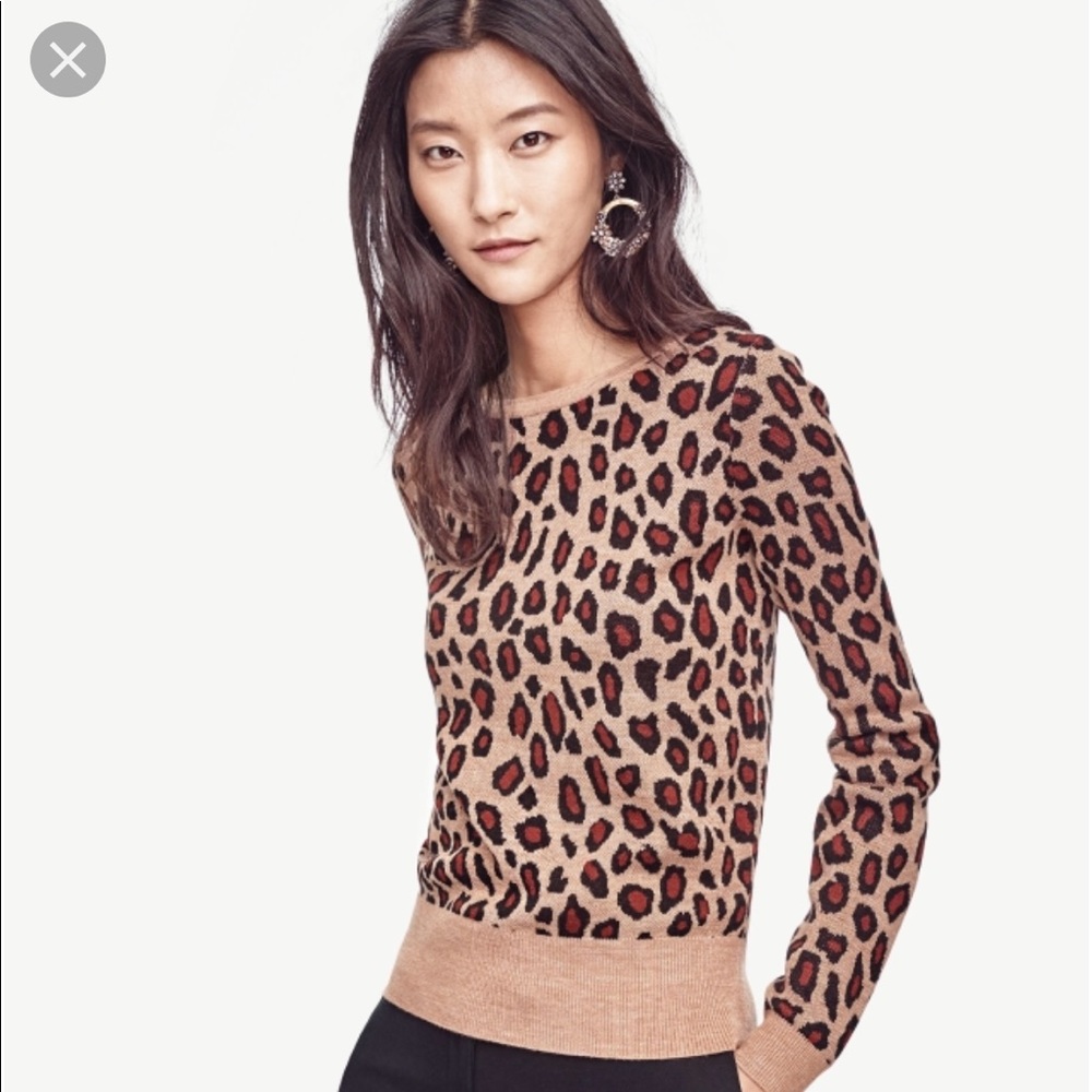 Ann Taylor Leopard Sweater size small
